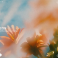 Chatster - Go Project